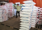 Doanh nghiệp chăn nu&ocirc;i nội đuối sức