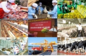 T&igrave;nh h&igrave;nh sản xuất chăn nu&ocirc;i