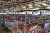 Gi&aacute; heo hơi h&ocirc;m nay (30/8): Miền Nam nhiều nơi tăng gi&aacute;